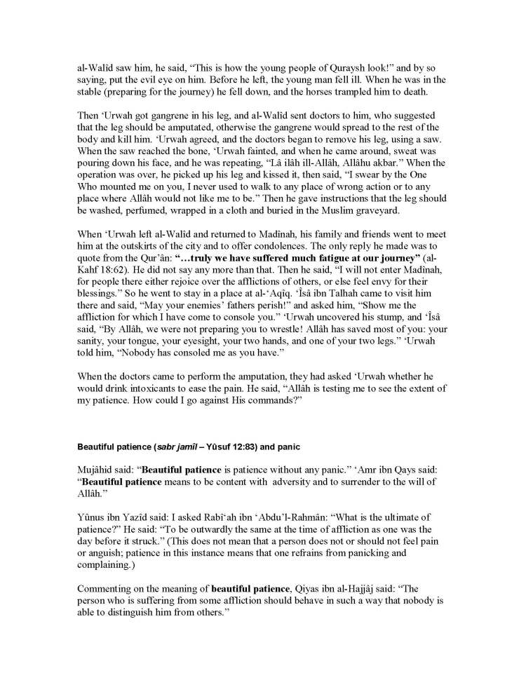 Patience &amp; Gratitude_Page_35