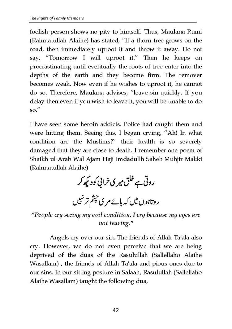 The_Rights_of_Family_Members_Page_43