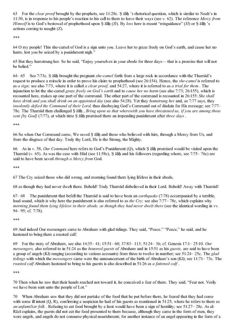 TheStudyQuranANewTranslationandCommentary_Page_0528