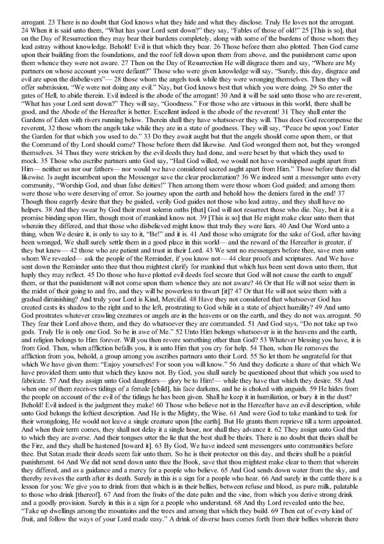 TheStudyQuranANewTranslationandCommentary_Page_0599