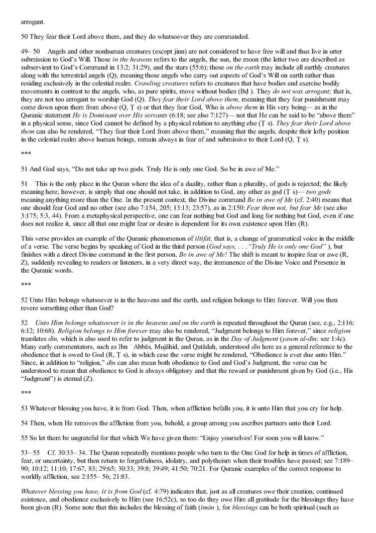TheStudyQuranANewTranslationandCommentary_Page_0612