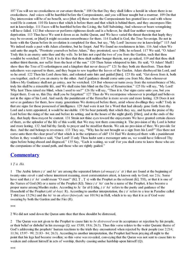 TheStudyQuranANewTranslationandCommentary_Page_0716