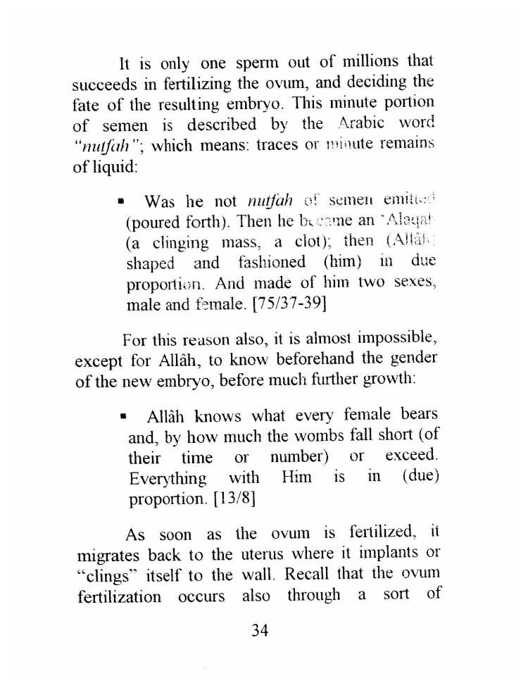 Why Islam Proofs of Modern Science - Nabil A. Haroun_Page_33